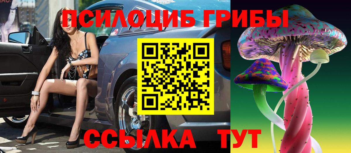 Псилоцибиновые грибы Psilocybe  Псилоцибиновые грибы прущие грибы  Красный Сулин  Вход с VPN 