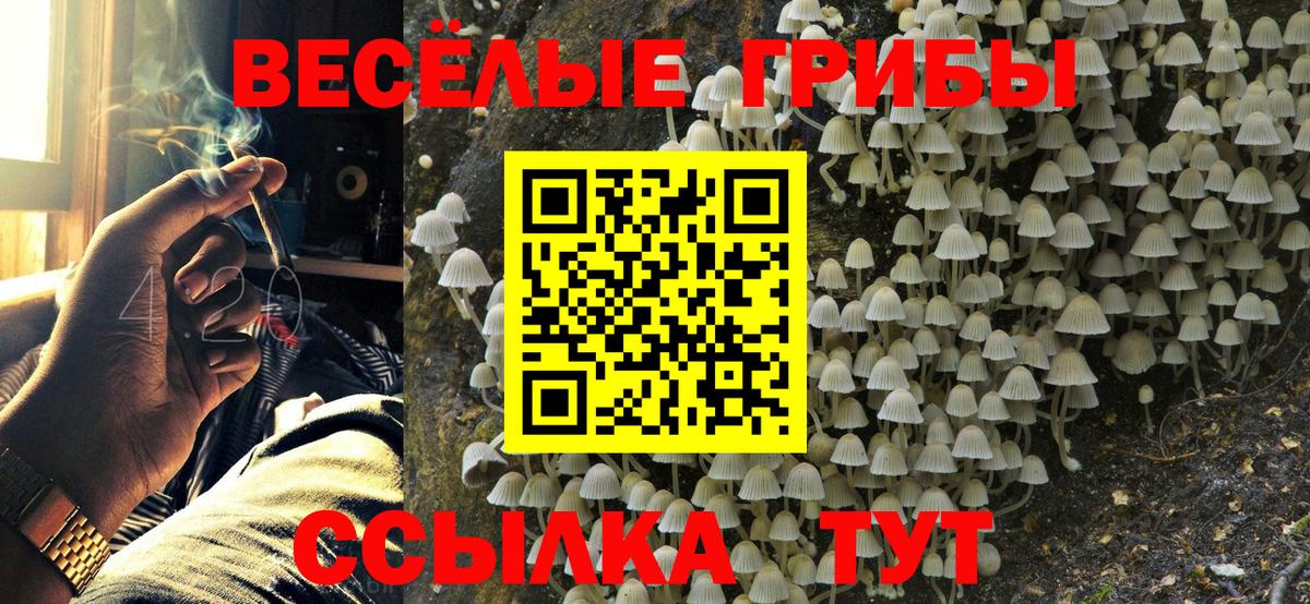 Галлюциногенные грибы Psilocybe Красный Сулин